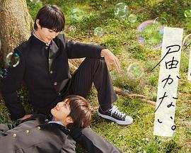 黑人走廊视频海报剧照