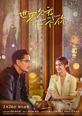 鸡同鸭讲国语海报剧照